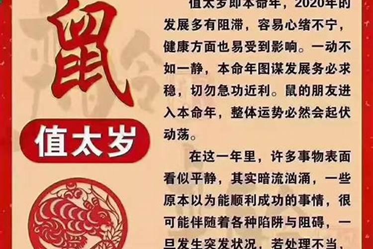 冲害太岁是什么意思属蛇怎么化解