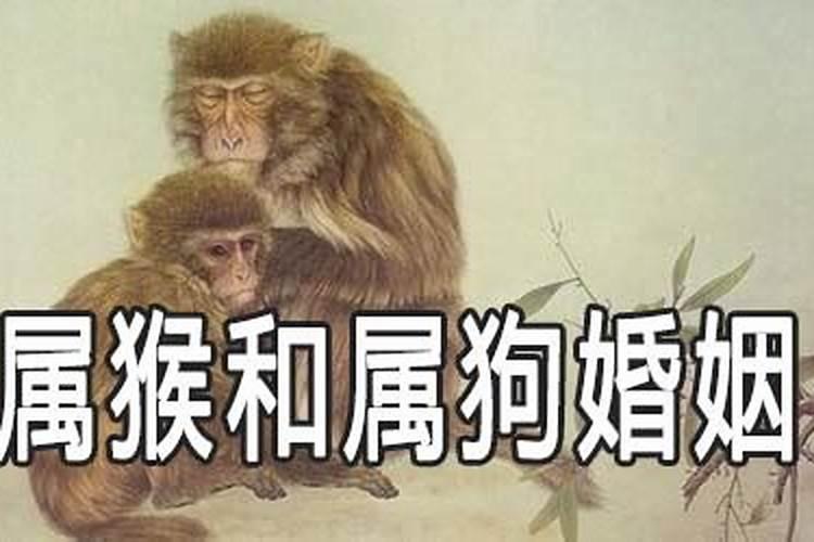 孕妇梦到出轨了