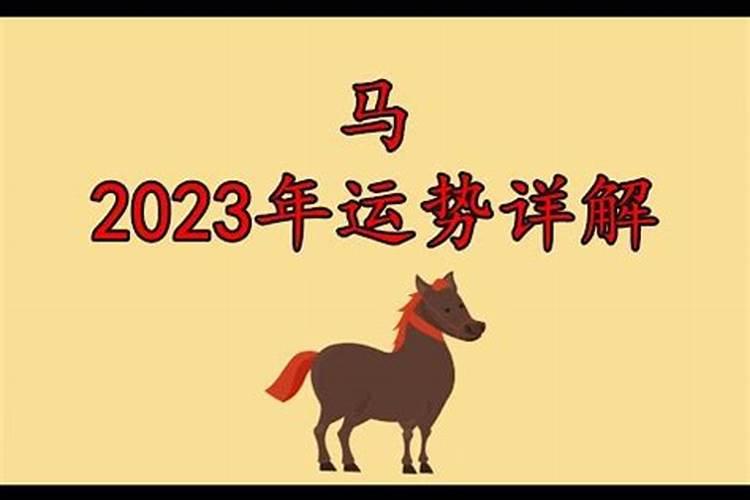 生肖马2023