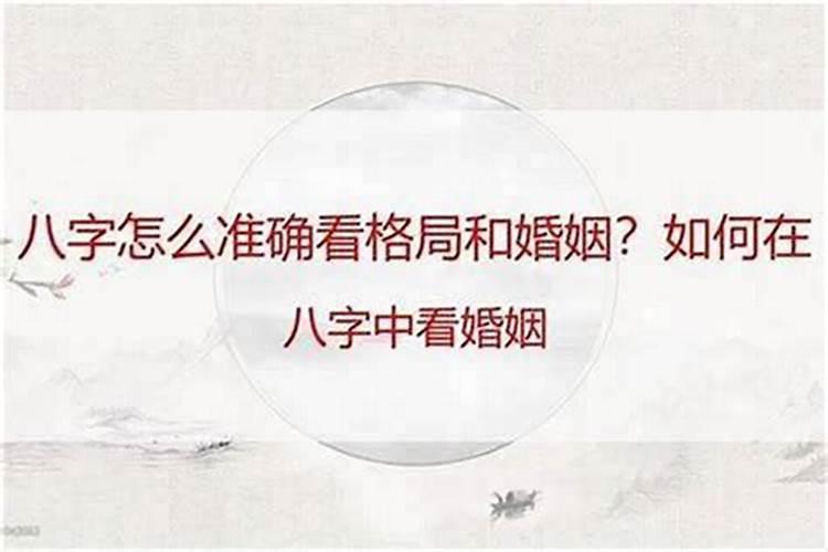 属兔的男人和什么属相合财