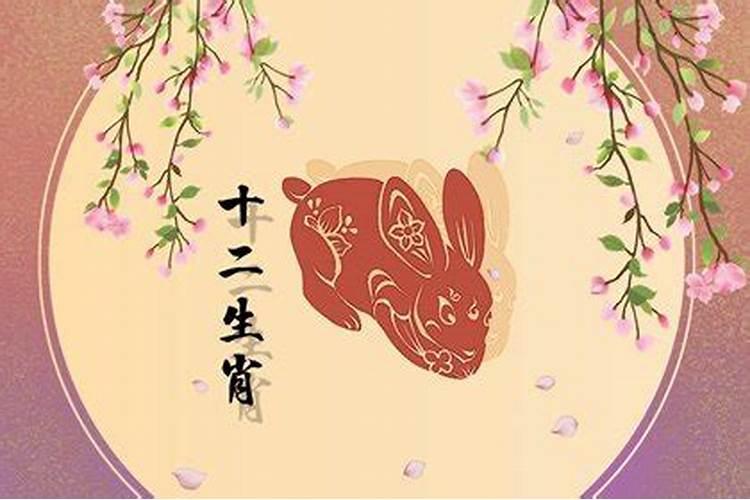 女命八字无财无官星代表什么