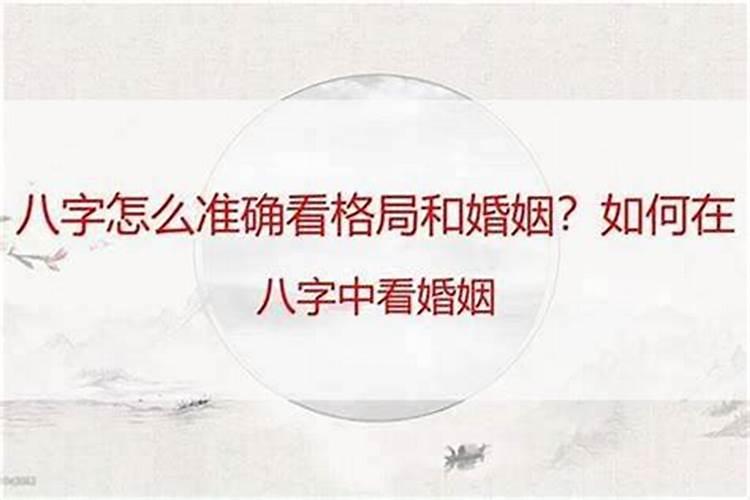 我儿属虎对象属马合婚吗怎么办