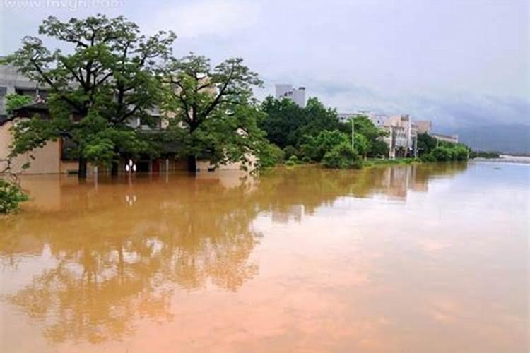 梦见大水淹路在水里游泳