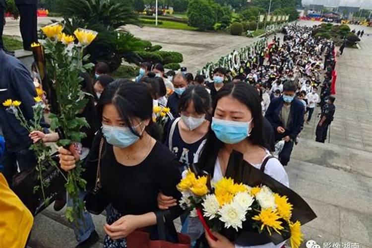 清明节祭拜袁隆平