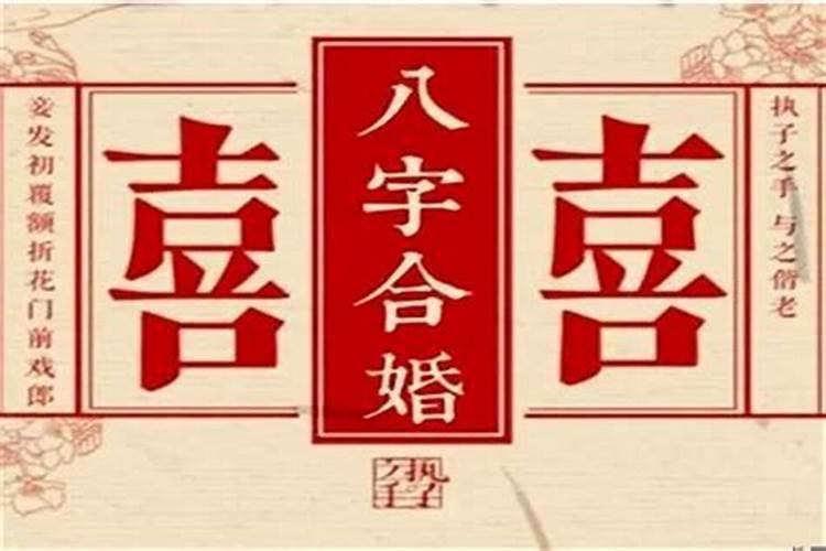 兔和蛇属相合不合财运