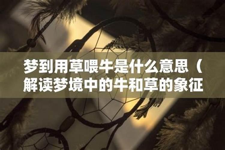 总是梦到牛是什么意思