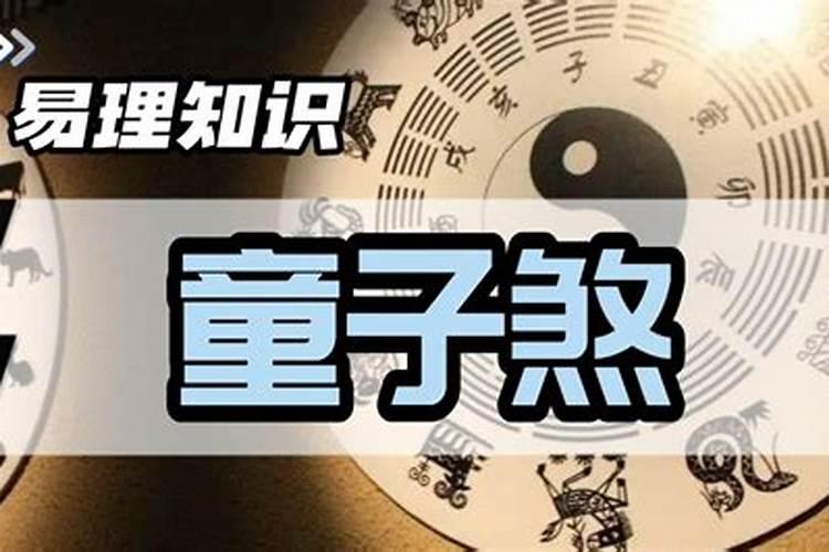 天肖的生肖2024年运程