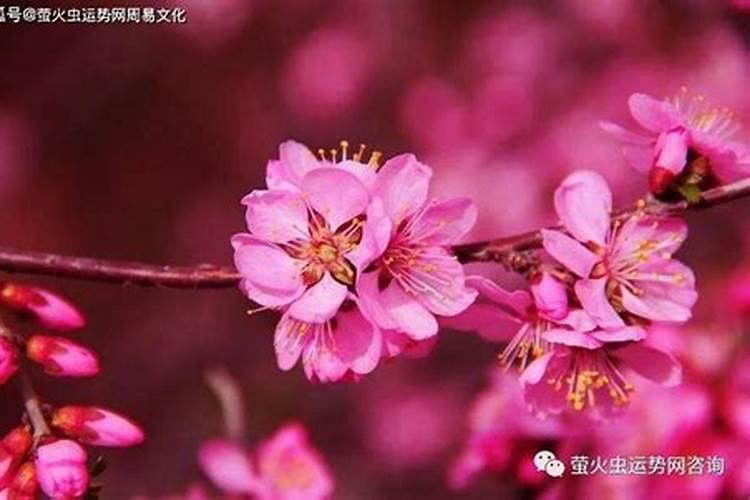 男方要女方的生辰八字怎么写才好