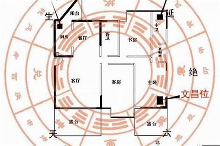 2024年属鸡8月份运势怎么样