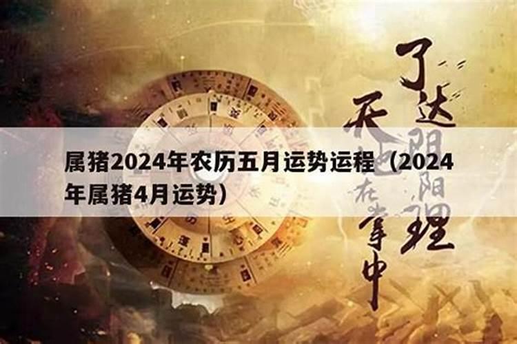 78年出生的2021年运气怎么样呀