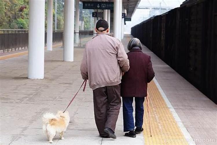 梦见死去的奶奶拿棍子打我了