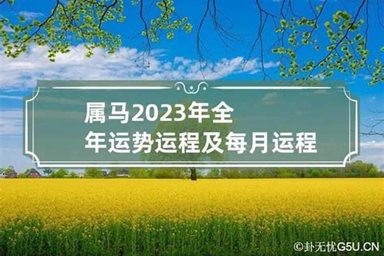 2023年属马人运势