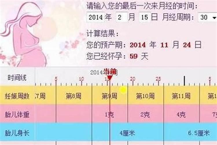 2024年兔年本命年应该带什么