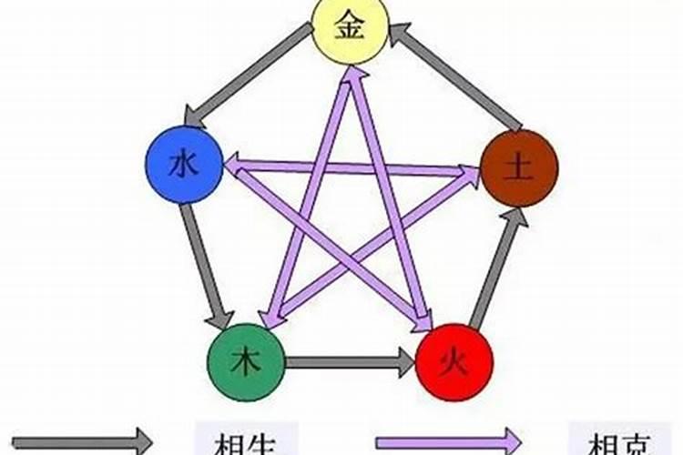 属马的亥时出生命运