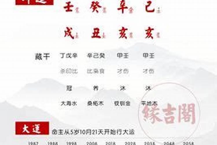 梦见有人到我家偷东西是什么意思周公解梦