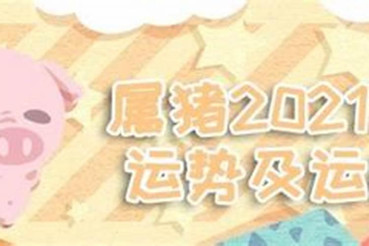 81年的猪2021年运势