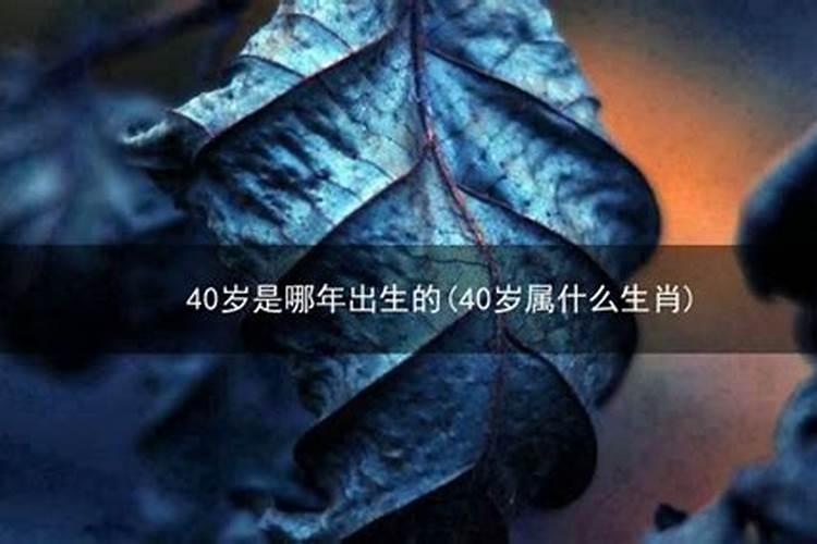 40岁是什么命运