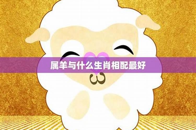 3月15日的双鱼座上升是什么