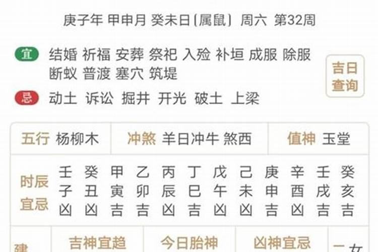 梦见红蛇被自己打死了什么预兆