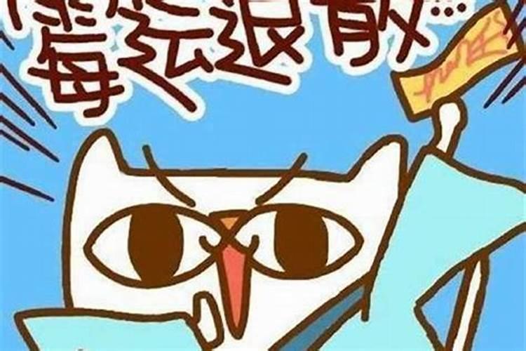 梦见一头猪拱我头