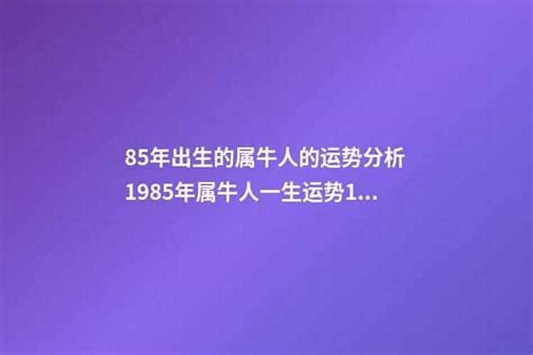 85年出生运势如何