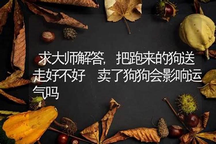 子时出生时辰属什么