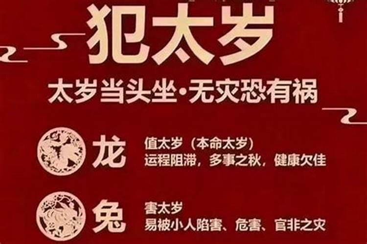 属蛇犯太岁是什么意思呢女孩名字