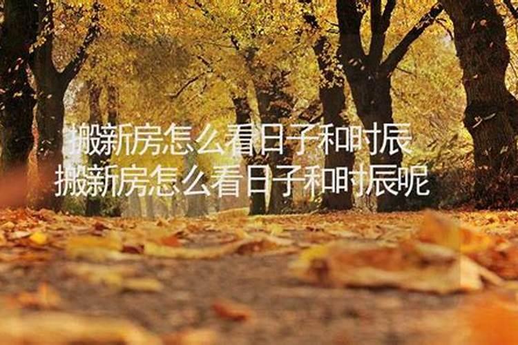 梦见有人砍树根什么预兆