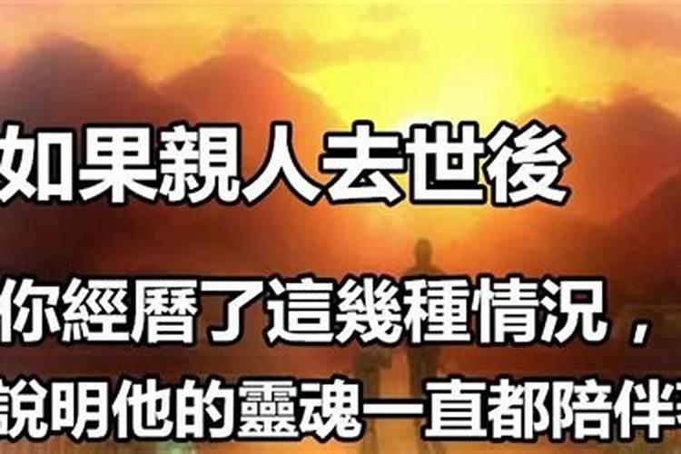 梦到养猪养鸡什么意思啊