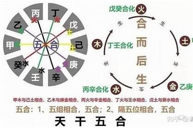 八字多合什么意思呀