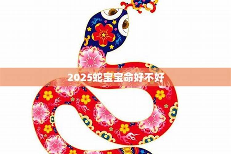 六五年蛇一九年怎么样运势