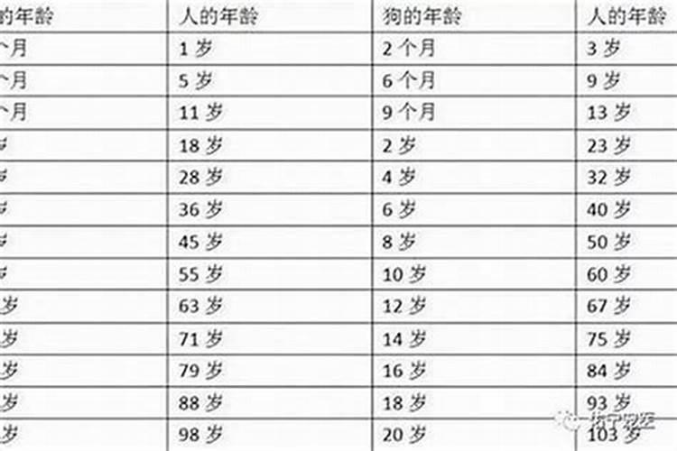 今年本命年的人多大了