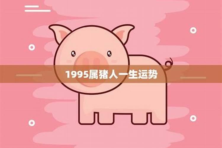 属猪的1995年生一生运程