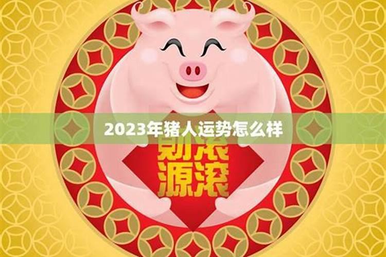 九五年猪人今年运势