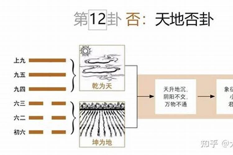 属狗人三月生好不好