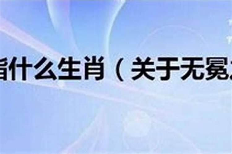 梦见白鸽子是怎么回事儿周公解梦