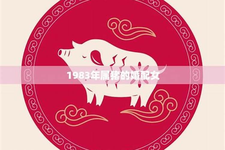 婚姻关系存续期间分割夫妻共同财产案由