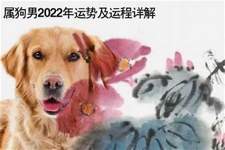 属虎的运气今年怎么样2022十月份