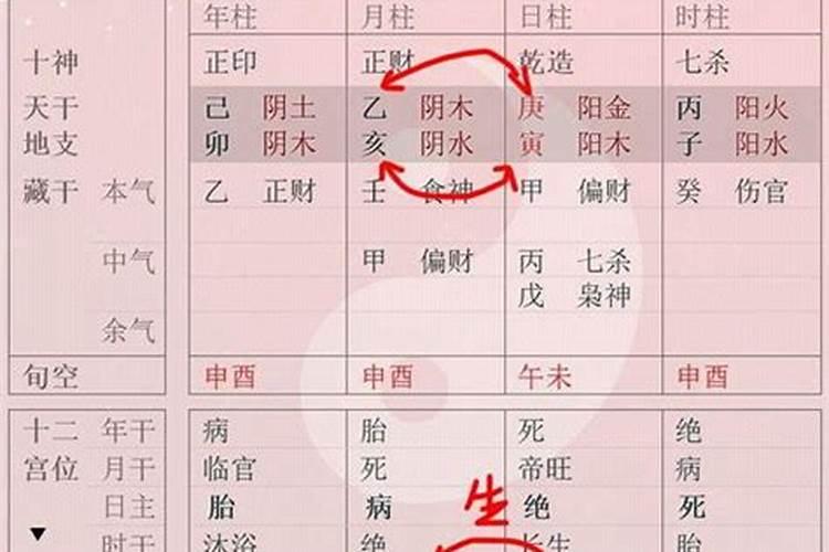 属兔今年运势及财运如何呢女生