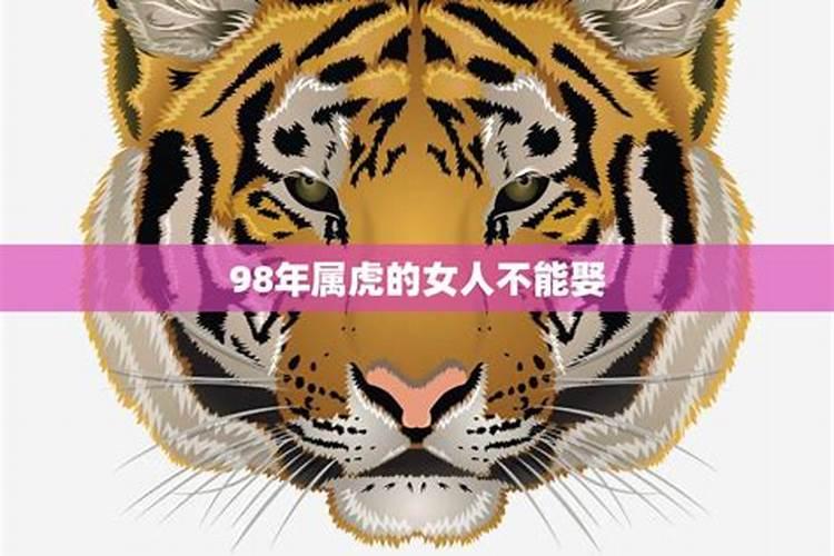 梦见家里生好多小猫崽