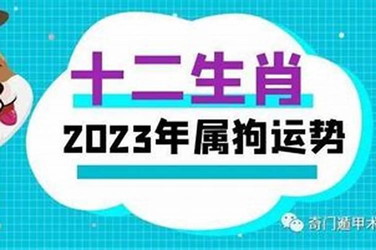 95年属狗的今年运势