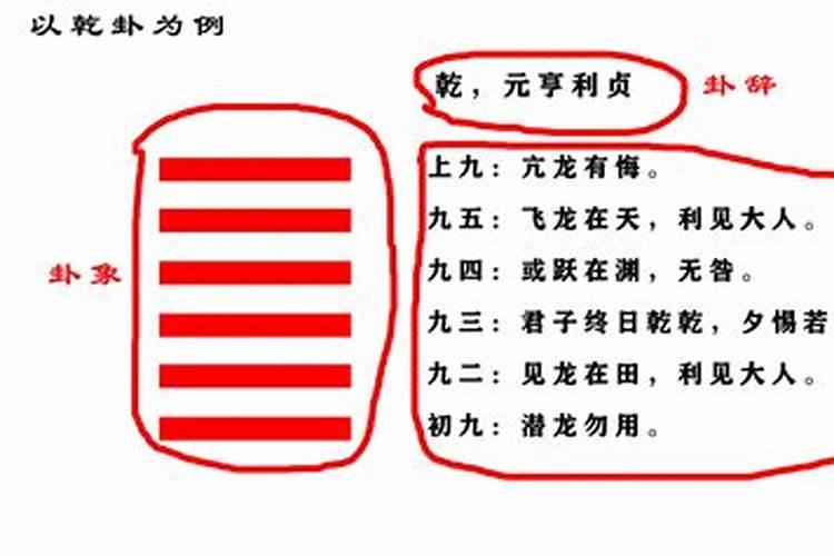 十神怎么运用到生肖中