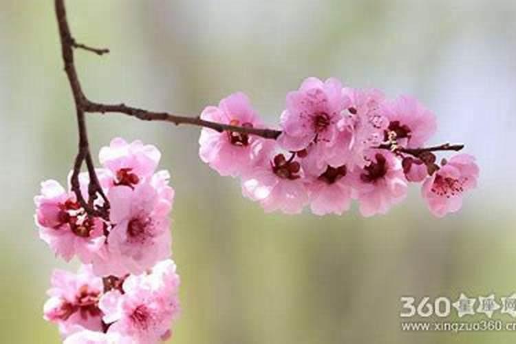 中秋节的来历民俗以及相关知识有哪些