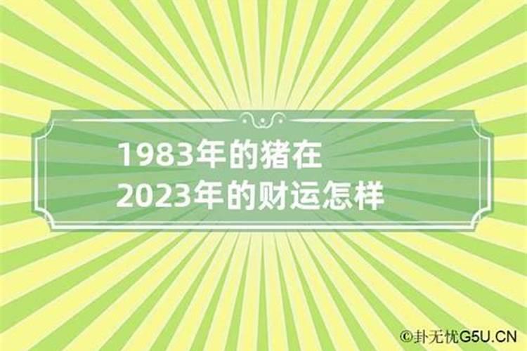 梦见穿在脚上的一双鞋丢了