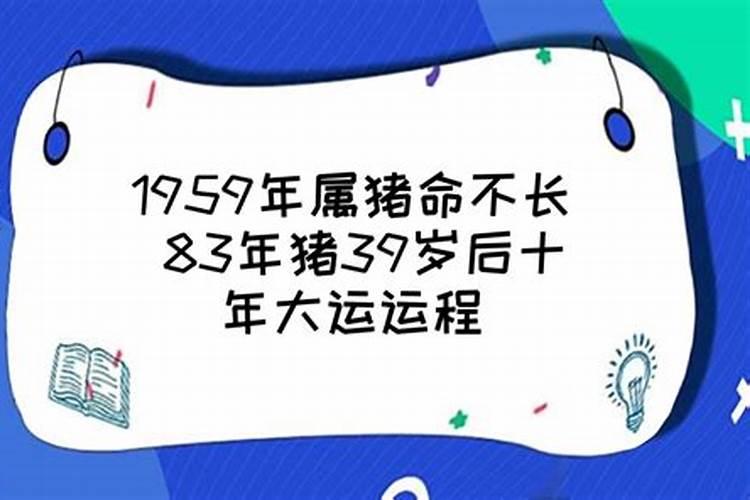 2021属马每月运势运程详解