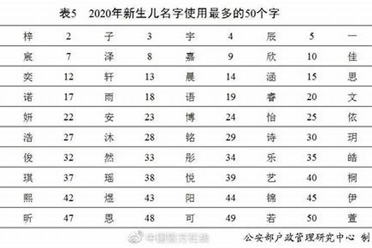 属马男人今年运势