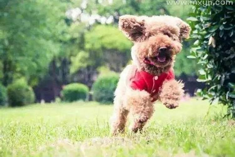 立夏后装修要注意什么风格