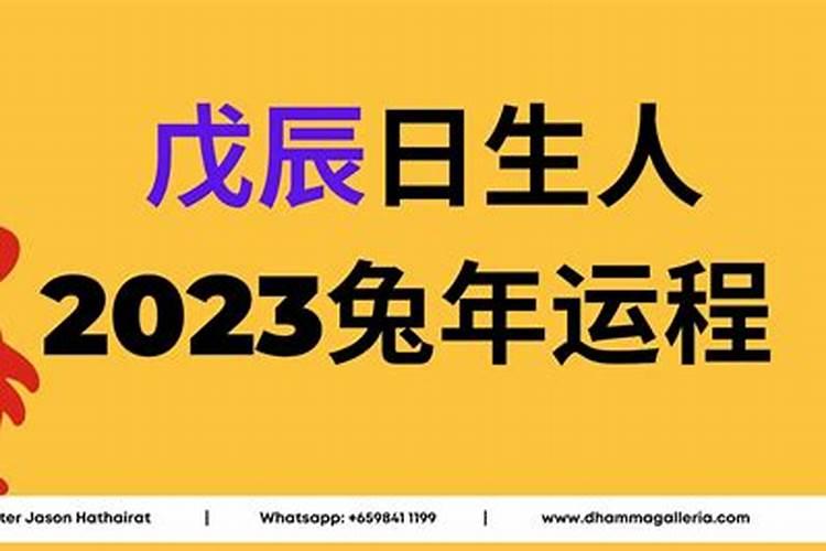 1987年属兔人2021年的全年运势