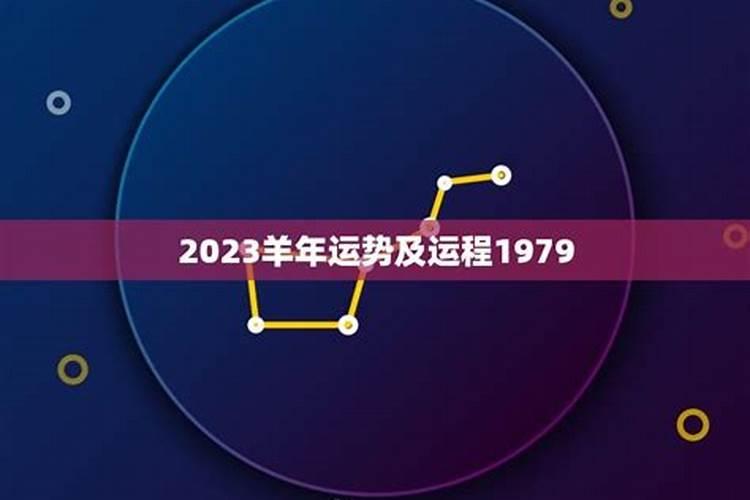 属猪2023今年的运势及运程