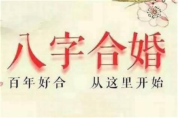 属牛和属鸡的八字合不合财